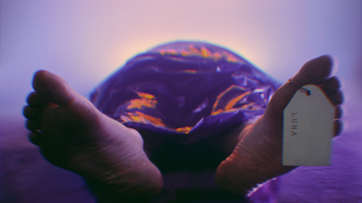 SEVERALS are coming up with new single called LUNA