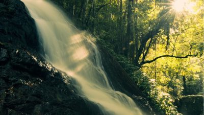 Australian Atmospheric Post-Black Metal band CALEA DREAMING released their new album “Red Cedar Falls”