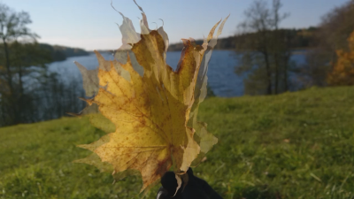 KAZEMĀTS IV: 3 Albumi, kas nav katrā otrajā kolekcijā (RUDENS SPECIĀLIZLAIDUMS)