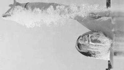 Meta Covers izdod kaverversiju Tranzīts dziesmai “Nevaru Būt Balts”